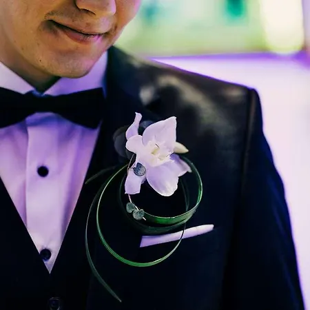 Radisson Blu Plaza Hotel, Hotel